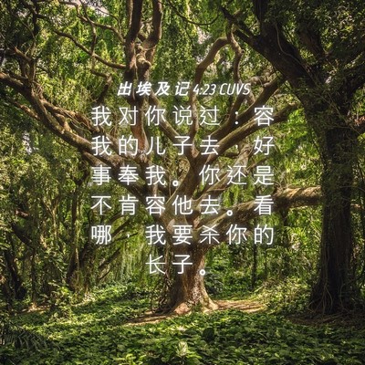 Picture 04 - 出 埃 及 记 4:23 CUVS - 我 对 你 说 过 ： 容 我 的 儿 子 去 - Bible Verse Picture