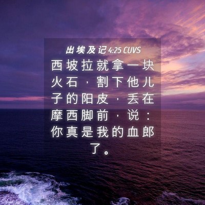 Picture 04 - 出 埃 及 记 4:25 CUVS - 西 坡 拉 就 拿 一 块 火 石 ， 割 下 - Bible Verse Picture