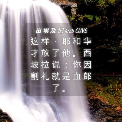 Picture 04 - 出 埃 及 记 4:26 CUVS - 这 样 ， 耶 和 华 才 放 了 他 。 西 - Bible Verse Picture