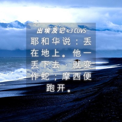 Picture 04 - 出 埃 及 记 4:3 CUVS - 耶 和 华 说 ： 丢 在 地 上 。 他 一 - Bible Verse Picture