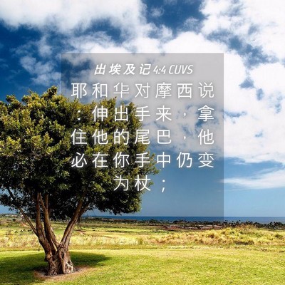 Picture 04 - 出 埃 及 记 4:4 CUVS - 耶 和 华 对 摩 西 说 ： 伸 出 手 来 - Bible Verse Picture