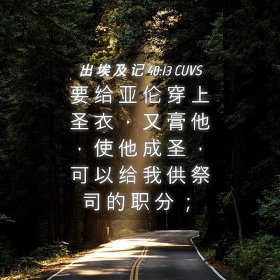 Picture 04 - 出 埃 及 记 40:13 CUVS - 要 给 亚 伦 穿 上 圣 衣 ， 又 膏 他 - Bible Verse Picture