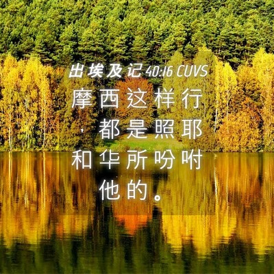 Picture 04 - 出 埃 及 记 40:16 CUVS - 摩 西 这 样 行 ， 都 是 照 耶 和 华 - Bible Verse Picture