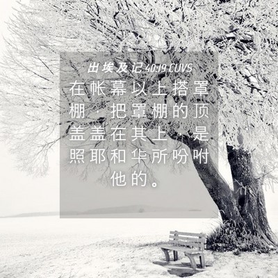 Picture 04 - 出 埃 及 记 40:19 CUVS - 在 帐 幕 以 上 搭 罩 棚 ， 把 罩 棚 - Bible Verse Picture