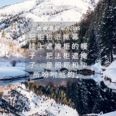 Picture 04 - 出 埃 及 记 40:21 CUVS - 把 柜 抬 进 帐 幕 ， 挂 上 遮 掩 柜 - Bible Verse Picture