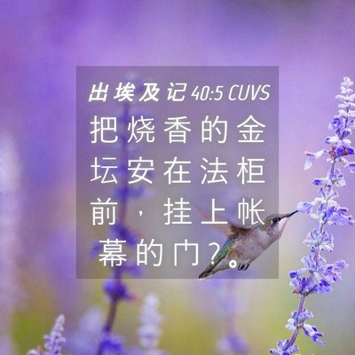 Picture 04 - 出 埃 及 记 40:5 CUVS - 把 烧 香 的 金 坛 安 在 法 柜 前 ， - Bible Verse Picture