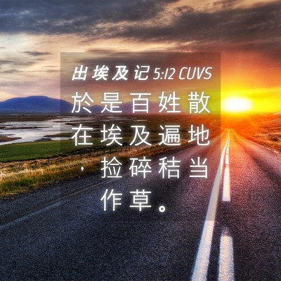 Picture 04 - 出 埃 及 记 5:12 CUVS - 於 是 百 姓 散 在 埃 及 遍 地 ， 捡 - Bible Verse Picture