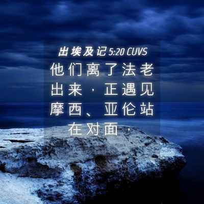 Picture 04 - 出 埃 及 记 5:20 CUVS - 他 们 离 了 法 老 出 来 ， 正 遇 见 - Bible Verse Picture