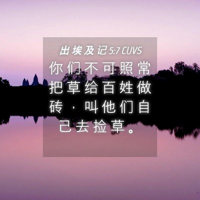 Picture 04 - 出 埃 及 记 5:7 CUVS - 你 们 不 可 照 常 把 草 给 百 姓 做 - Bible Verse Picture