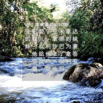 Picture 04 - 出 埃 及 记 6:23 CUVS - 亚 伦 娶 了 亚 米 拿 达 的 女 儿 ， - Bible Verse Picture