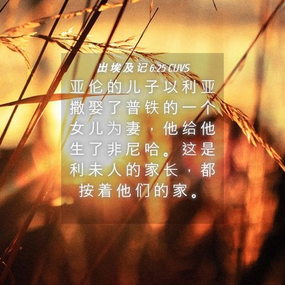 Picture 04 - 出 埃 及 记 6:25 CUVS - 亚 伦 的 儿 子 以 利 亚 撒 娶 了 普 - Bible Verse Picture