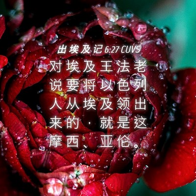 Picture 04 - 出 埃 及 记 6:27 CUVS - 对 埃 及 王 法 老 说 要 将 以 色 列 - Bible Verse Picture