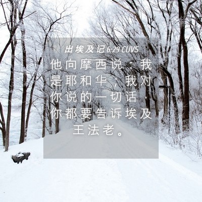 Picture 04 - 出 埃 及 记 6:29 CUVS - 他 向 摩 西 说 ： 我 是 耶 和 华 ； - Bible Verse Picture