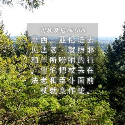 Picture 04 - 出 埃 及 记 7:10 CUVS - 摩 西 、 亚 伦 进 去 见 法 老 ， 就 - Bible Verse Picture