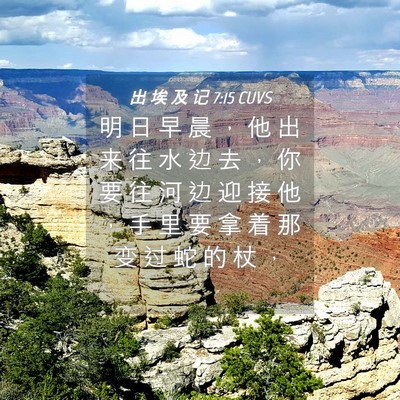 Picture 04 - 出 埃 及 记 7:15 CUVS - 明 日 早 晨 ， 他 出 来 往 水 边 去 - Bible Verse Picture