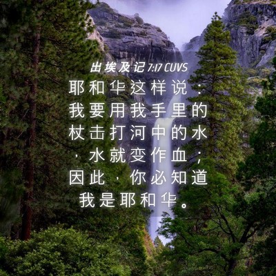 Picture 04 - 出 埃 及 记 7:17 CUVS - 耶 和 华 这 样 说 ： 我 要 用 我 手 - Bible Verse Picture