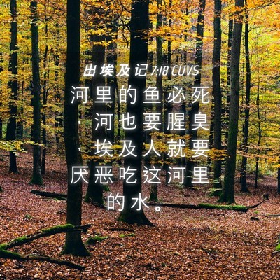 Picture 04 - 出 埃 及 记 7:18 CUVS - 河 里 的 鱼 必 死 ， 河 也 要 腥 臭 - Bible Verse Picture
