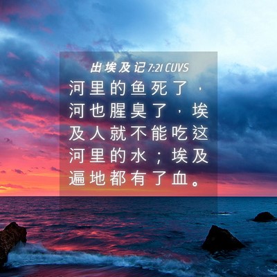 Picture 04 - 出 埃 及 记 7:21 CUVS - 河 里 的 鱼 死 了 ， 河 也 腥 臭 了 - Bible Verse Picture