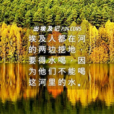 Picture 04 - 出 埃 及 记 7:24 CUVS - 埃 及 人 都 在 河 的 两 边 挖 地 ， - Bible Verse Picture