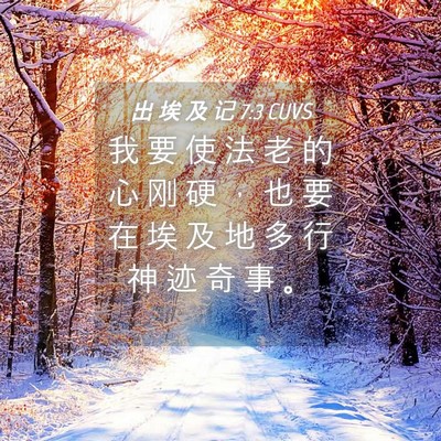 Picture 04 - 出 埃 及 记 7:3 CUVS - 我 要 使 法 老 的 心 刚 硬 ， 也 要 - Bible Verse Picture