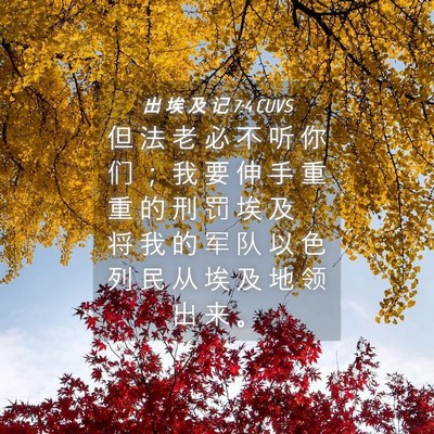 Picture 04 - 出 埃 及 记 7:4 CUVS - 但 法 老 必 不 听 你 们 ； 我 要 伸 - Bible Verse Picture