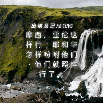 Picture 04 - 出 埃 及 记 7:6 CUVS - 摩 西 、 亚 伦 这 样 行 ； 耶 和 华 - Bible Verse Picture