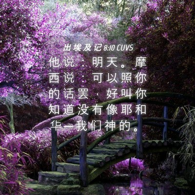 Picture 04 - 出 埃 及 记 8:10 CUVS - 他 说 ： 明 天 。 摩 西 说 ： 可 以 - Bible Verse Picture