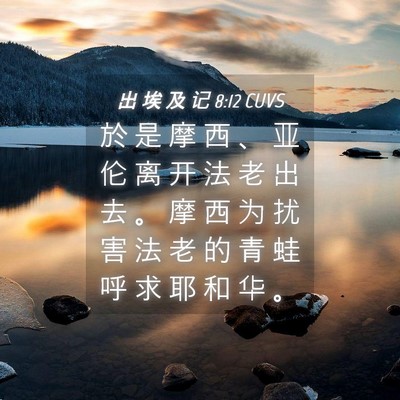 Picture 04 - 出 埃 及 记 8:12 CUVS - 於 是 摩 西 、 亚 伦 离 开 法 老 出 - Bible Verse Picture