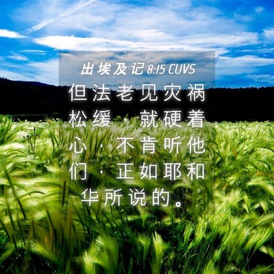 Picture 04 - 出 埃 及 记 8:15 CUVS - 但 法 老 见 灾 祸 松 缓 ， 就 硬 着 - Bible Verse Picture