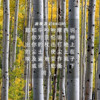 Picture 04 - 出 埃 及 记 8:16 CUVS - 耶 和 华 吩 咐 摩 西 说 ： 你 对 亚 - Bible Verse Picture