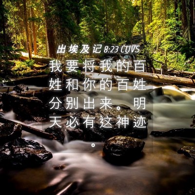 Picture 04 - 出 埃 及 记 8:23 CUVS - 我 要 将 我 的 百 姓 和 你 的 百 姓 - Bible Verse Picture