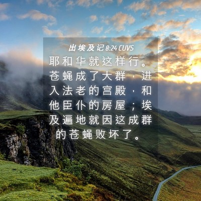 Picture 04 - 出 埃 及 记 8:24 CUVS - 耶 和 华 就 这 样 行 。 苍 蝇 成 了 - Bible Verse Picture