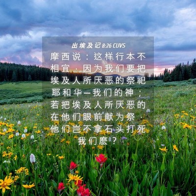 Picture 04 - 出 埃 及 记 8:26 CUVS - 摩 西 说 ： 这 样 行 本 不 相 宜 ， - Bible Verse Picture