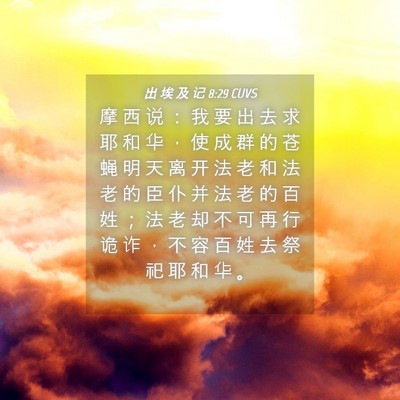 Picture 04 - 出 埃 及 记 8:29 CUVS - 摩 西 说 ： 我 要 出 去 求 耶 和 华 - Bible Verse Picture