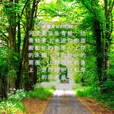 Picture 04 - 出 埃 及 记 8:3 CUVS - 河 里 要 滋 生 青 蛙 ； 这 青 蛙 要 - Bible Verse Picture