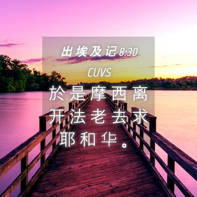 Picture 04 - 出 埃 及 记 8:30 CUVS - 於 是 摩 西 离 开 法 老 去 求 耶 和 - Bible Verse Picture