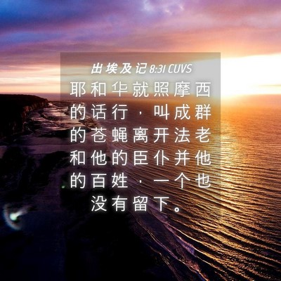 Picture 04 - 出 埃 及 记 8:31 CUVS - 耶 和 华 就 照 摩 西 的 话 行 ， 叫 - Bible Verse Picture