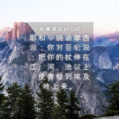 Picture 04 - 出 埃 及 记 8:5 CUVS - 耶 和 华 晓 谕 摩 西 说 ： 你 对 亚 - Bible Verse Picture