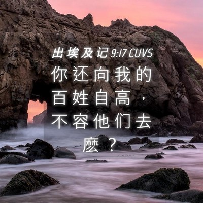 Picture 04 - 出 埃 及 记 9:17 CUVS - 你 还 向 我 的 百 姓 自 高 ， 不 容 - Bible Verse Picture
