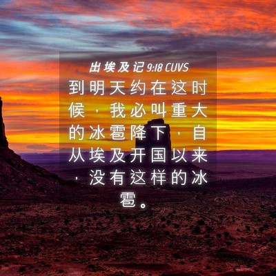 Picture 04 - 出 埃 及 记 9:18 CUVS - 到 明 天 约 在 这 时 候 ， 我 必 叫 - Bible Verse Picture