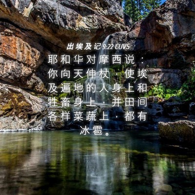Picture 04 - 出 埃 及 记 9:22 CUVS - 耶 和 华 对 摩 西 说 ： 你 向 天 伸 - Bible Verse Picture