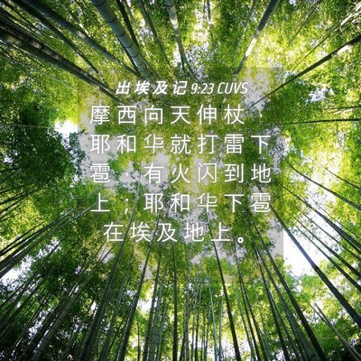 Picture 04 - 出 埃 及 记 9:23 CUVS - 摩 西 向 天 伸 杖 ， 耶 和 华 就 打 - Bible Verse Picture