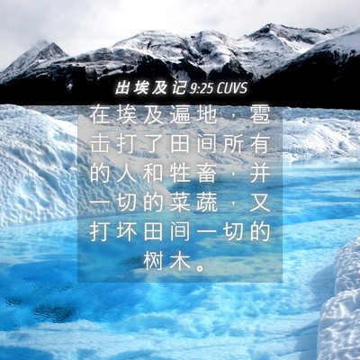 Picture 04 - 出 埃 及 记 9:25 CUVS - 在 埃 及 遍 地 ， 雹 击 打 了 田 间 - Bible Verse Picture