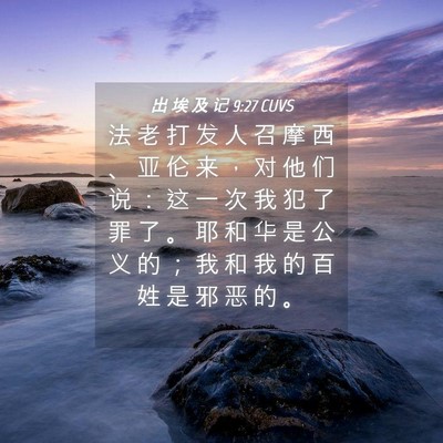 Picture 04 - 出 埃 及 记 9:27 CUVS - 法 老 打 发 人 召 摩 西 、 亚 伦 来 - Bible Verse Picture
