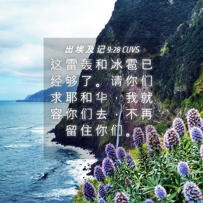 Picture 04 - 出 埃 及 记 9:28 CUVS - 这 雷 轰 和 冰 雹 已 经 够 了 。 请 - Bible Verse Picture