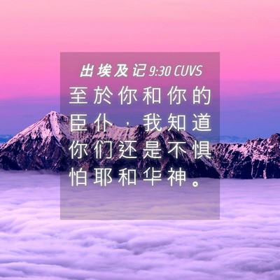 Picture 04 - 出 埃 及 记 9:30 CUVS - 至 於 你 和 你 的 臣 仆 ， 我 知 道 - Bible Verse Picture