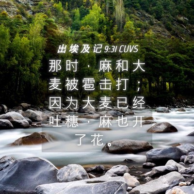 Picture 04 - 出 埃 及 记 9:31 CUVS - 那 时 ， 麻 和 大 麦 被 雹 击 打 ； - Bible Verse Picture