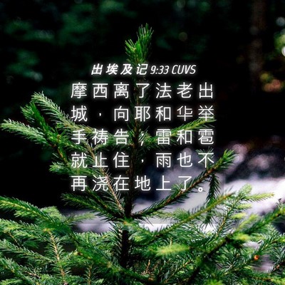 Picture 04 - 出 埃 及 记 9:33 CUVS - 摩 西 离 了 法 老 出 城 ， 向 耶 和 - Bible Verse Picture