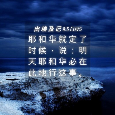 Picture 04 - 出 埃 及 记 9:5 CUVS - 耶 和 华 就 定 了 时 候 ， 说 ： 明 - Bible Verse Picture