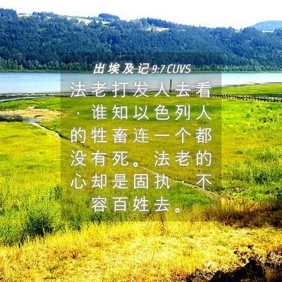 Picture 04 - 出 埃 及 记 9:7 CUVS - 法 老 打 发 人 去 看 ， 谁 知 以 色 - Bible Verse Picture